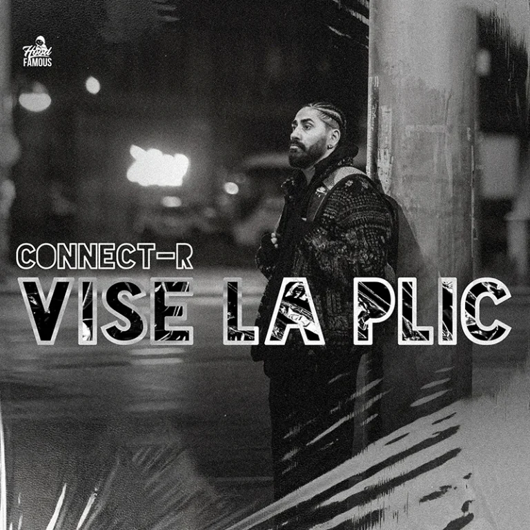 Connect-R - Vise la plic