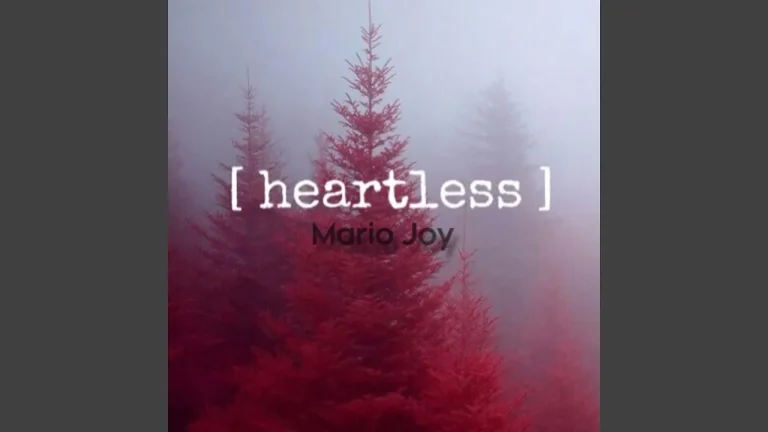 Mario Joy – Heartless