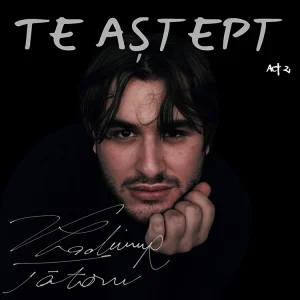 Vladimir Tataru - Te astept