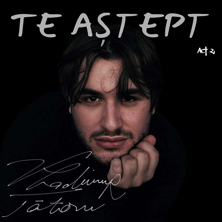 Vladimir Tataru - Te astept
