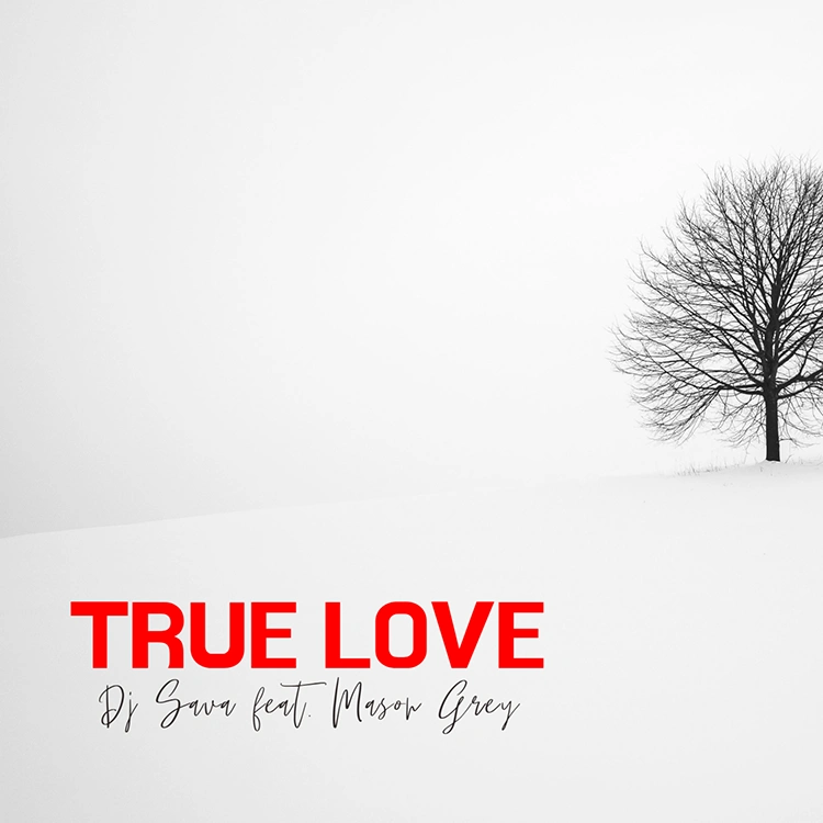 Dj Sava feat. Mason Grey - True Love