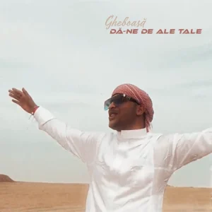 Gheboasa - Da-ne de ale tale