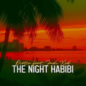 Diotic - The Night Habibi Cover