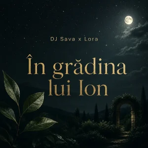 Dj Sava feat. Lora - In Gradina lui Ion cover