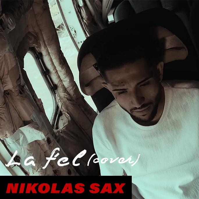 Nikolas Sax - La fel (Cover)