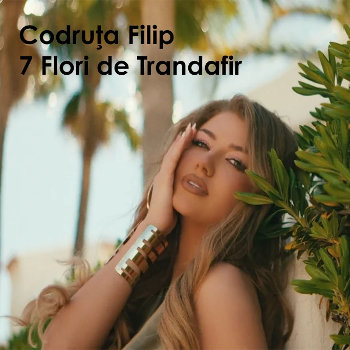 7 Flori de Trandafir