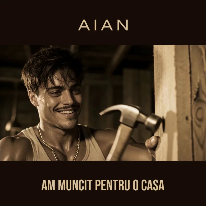 Aian - Am Muncit Pentru O Casa