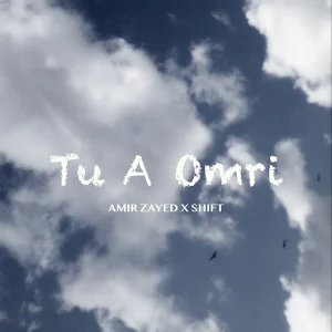 Amir Zayed feat Shift - Tu A Omri